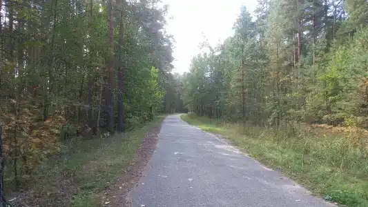 Улыбышево - 64