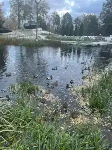 Приозерский - 37