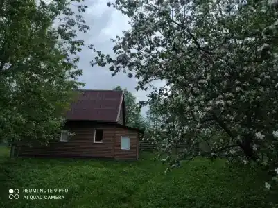 Хуторок Борок - 12