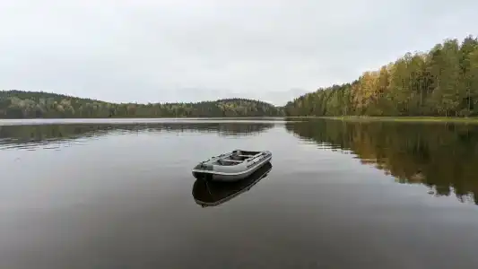 Берег Ладоги - 37