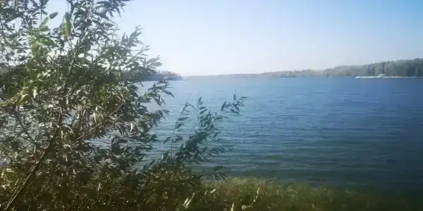 Лопотово - 54