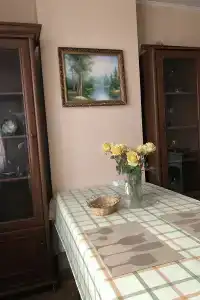 Леся - 15