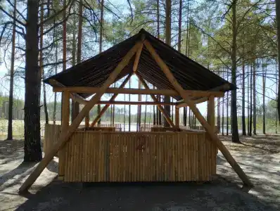 Ясная поляна - 28
