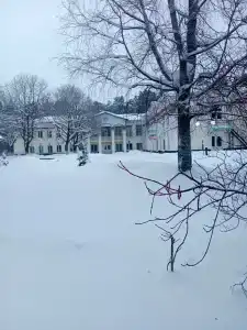 Жуковский - 41