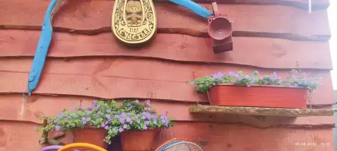Ясная поляна - 40