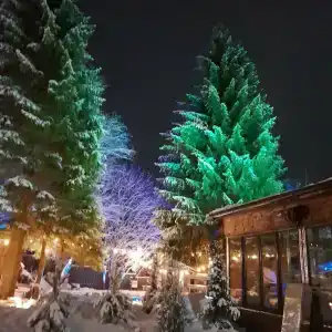 View Ga Волочаевка - 76