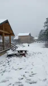 Uludag Orman Koskleri - 17