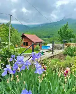 Лесной кордон - 11