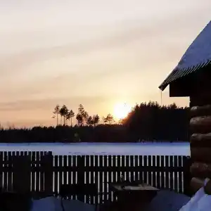 Ясная поляна - 31