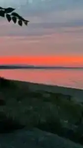 Жемчужина - 7