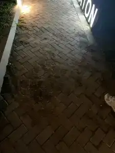 Sheraton Grand Tbilisi Metechi Palace - 47