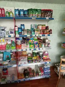 Пралеска - 39