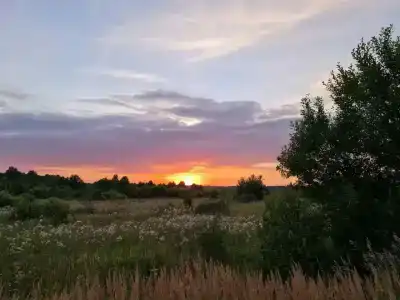 Банный Остров - 97