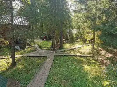 Лесной Дом - 21