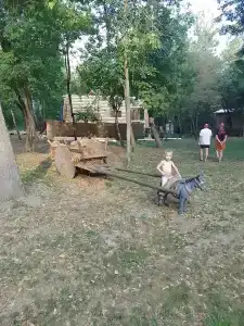Камышовый Рай - 93