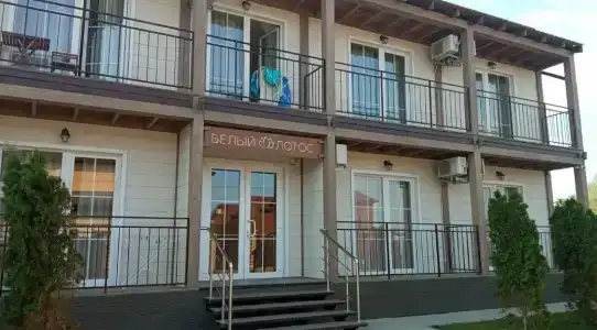 Белый Лотос - 51