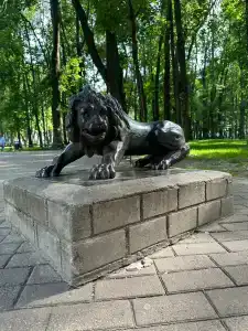 Борок - 23