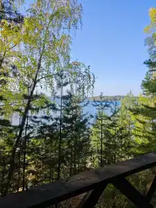 Романтик - 49