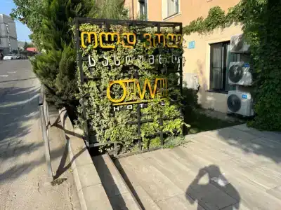 Old Wall - 10