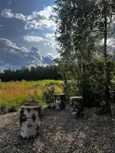 В Поле - 45
