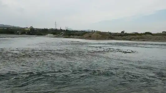 Парнас - 50