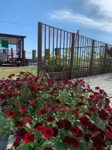 Розовый двор - 52
