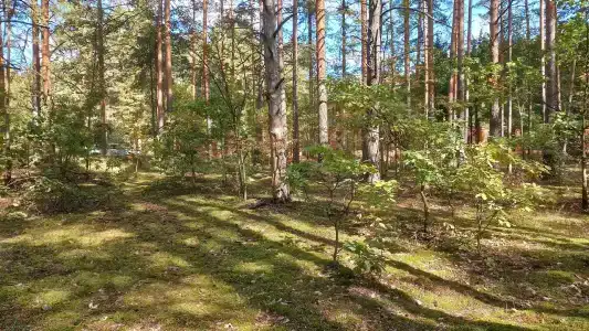 Улыбышево - 90