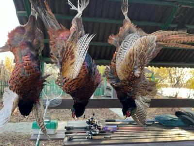 Славянка - 25