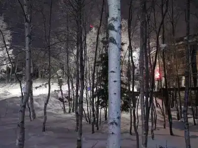 Арктик Хоум - 79