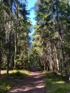 Ravansaari - 47