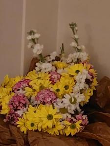 Prestige Old City - 64