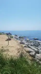 Морской бриз в Шепалово - 37