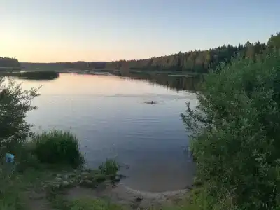 Оредеж - 57