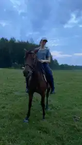 Бородино - 49