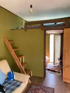 Смородина - 55