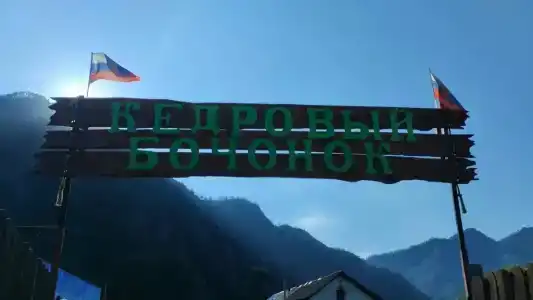 Кедровый бочонок - 8