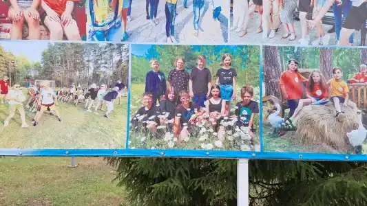 Сосновка - 13