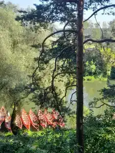 T-Park, тренинговый парк - 18