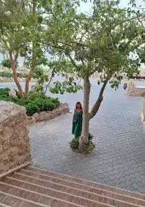 Albatros Citadel Resort - 50