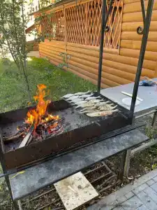 Старая Волга - 31