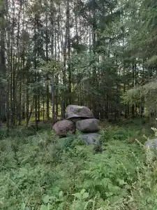 Мантиансаари - 48