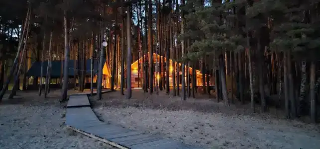 Сосновый бор - 22