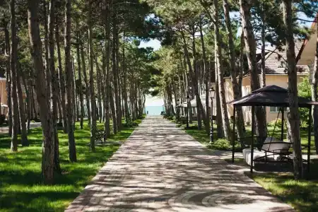 Alma Park Resort - 9