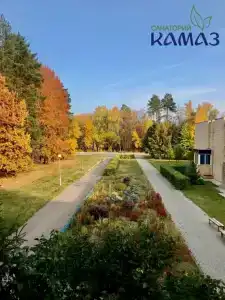 КАМАЗ Саулык - 15