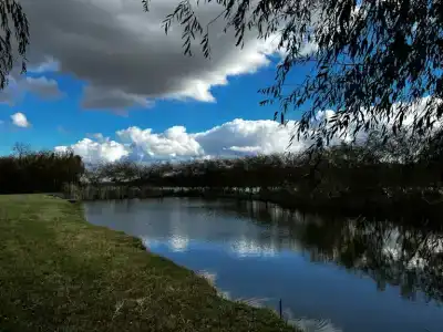 Наш берег - 7
