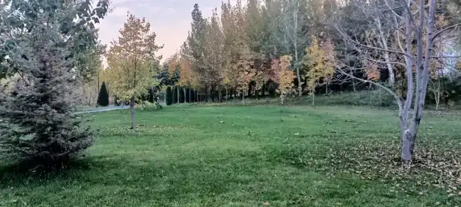 Манкент - 41