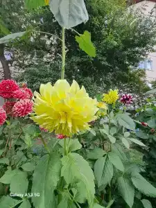 Северный Байкал - 18
