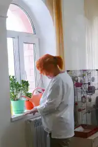 Мирра - 13