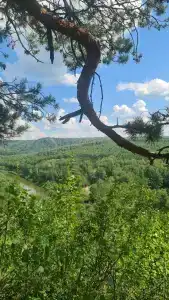 Таёжник - 20