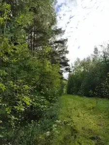 Юршино - 39